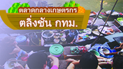 ตลาดกลางเกษตรกรตลิ่งชัน